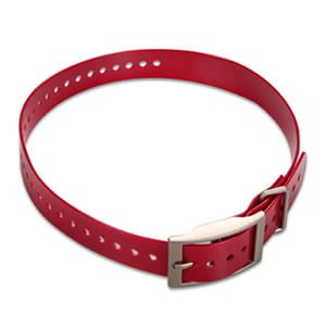 red.jpg