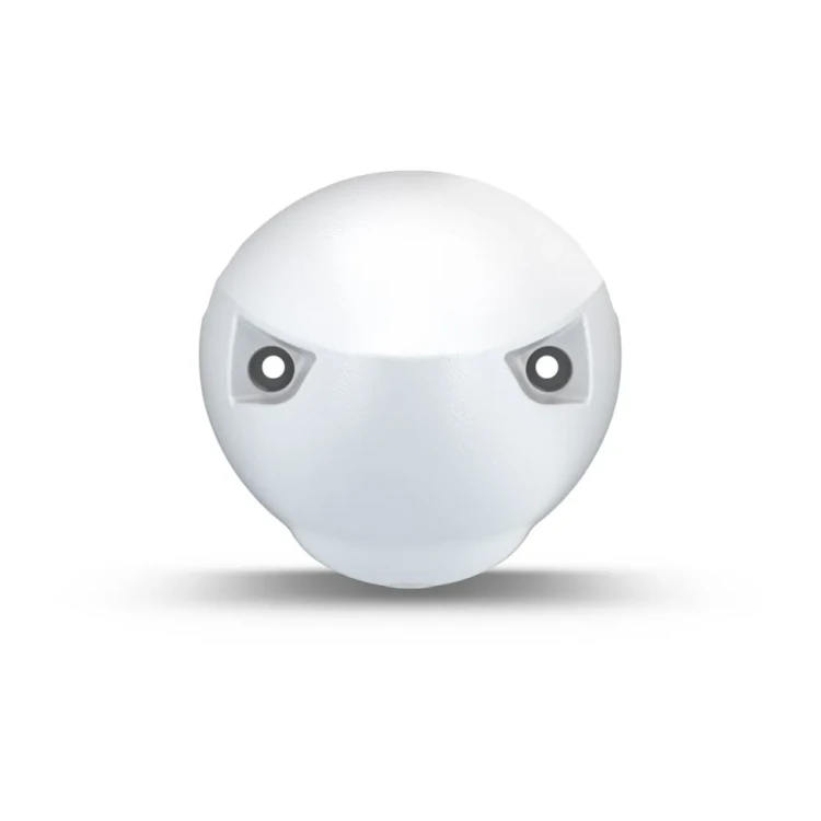 bialy_stozek_dziobowy_2.webp