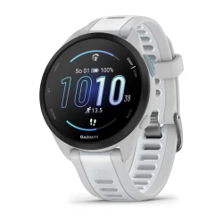 Garmin Forerunner 165 Music Mist Grey [010-02863-31]