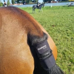 garmin-blaze-testy.webp