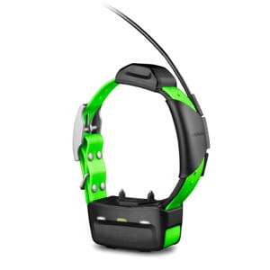 d09cedd86c66abbb42d93a56442fe81524f483e3