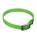 green.jpg