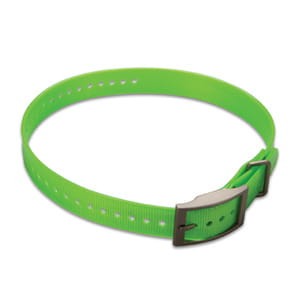 green.jpg