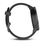 sc-03-lg.jpg