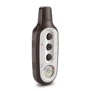 rf-lg (1).jpg