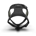 e2c69690fc5774c40e8efd8c56577752df887fc0