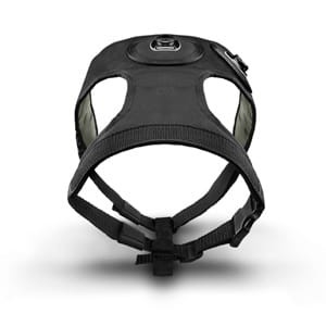 e2c69690fc5774c40e8efd8c56577752df887fc0