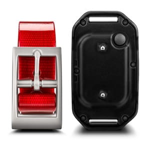 pd-01-lg.jpg