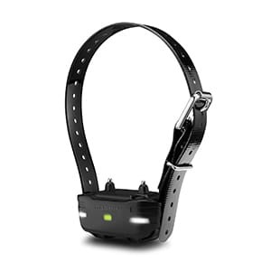 pd-01-lg.jpg