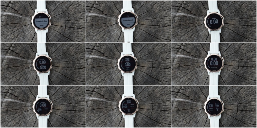 pola-danych-fenix-5splus