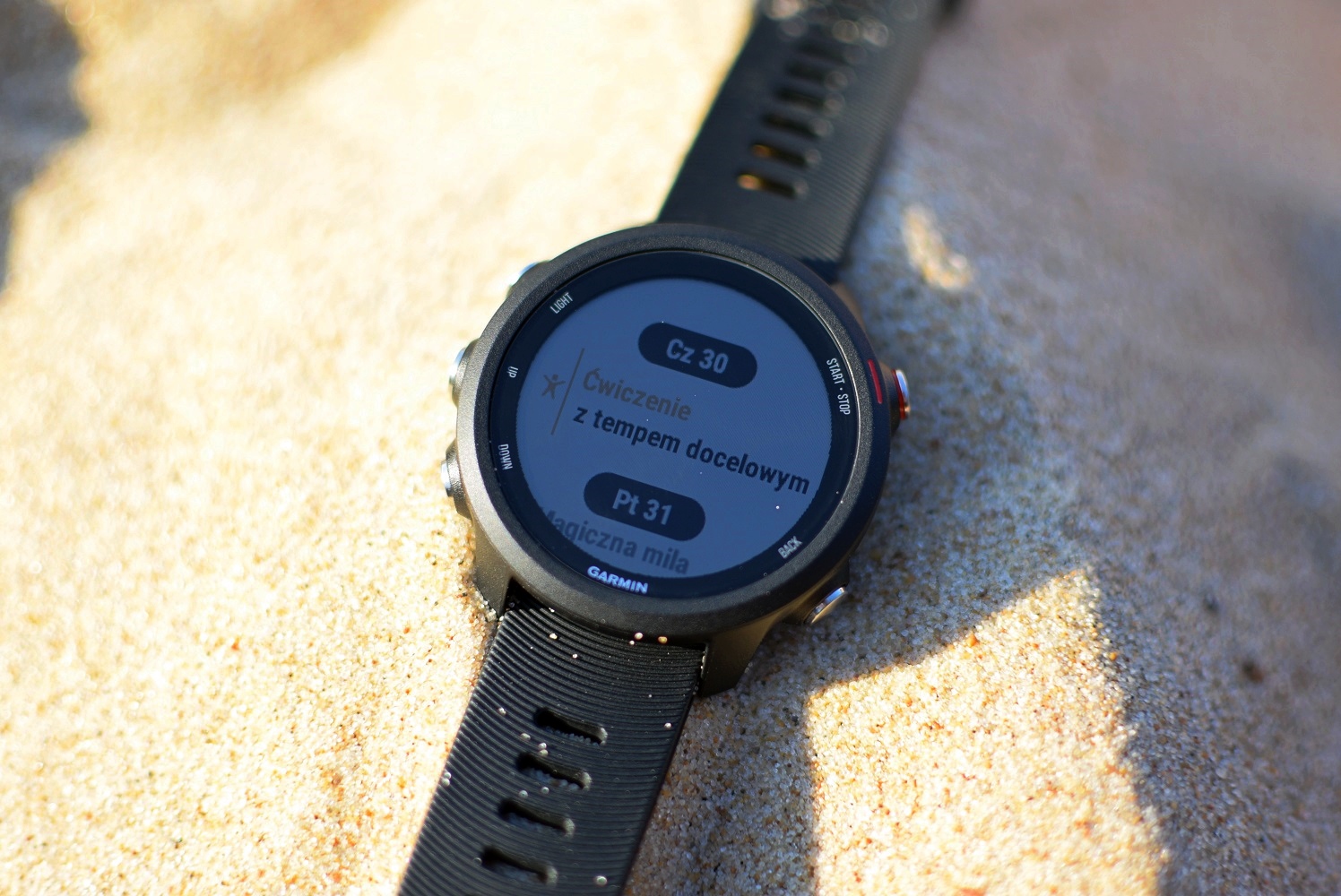 Forerunner 245