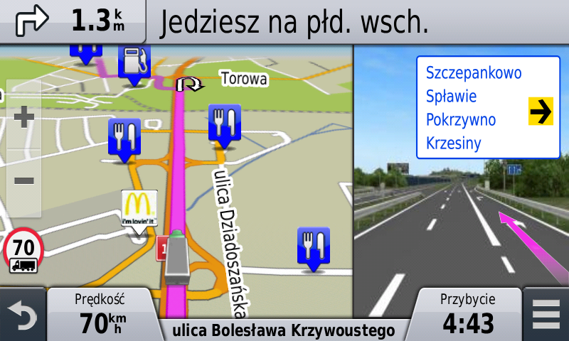 garmin dezl asystent pasa ruchu graficzny