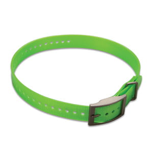 green.jpg
