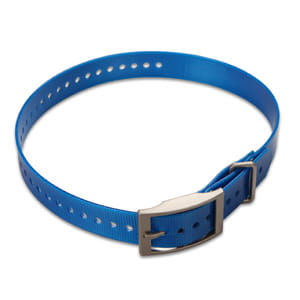 blue.jpg