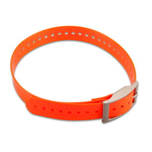 orange.jpg