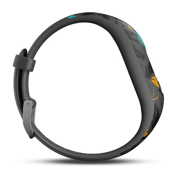 sc-02-lg.jpg
