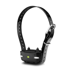 pd-01-lg.jpg